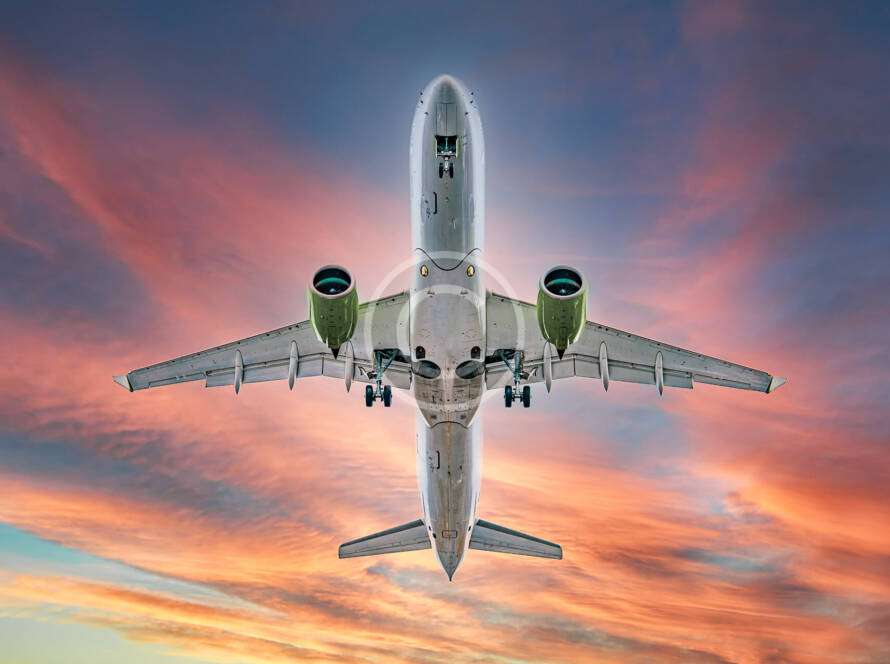 Image 6 copyright 890x664